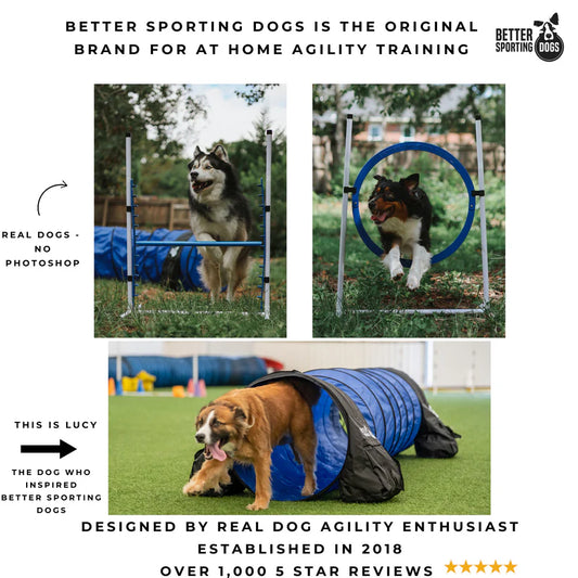 7 Piece Dog Agility Equipment Set