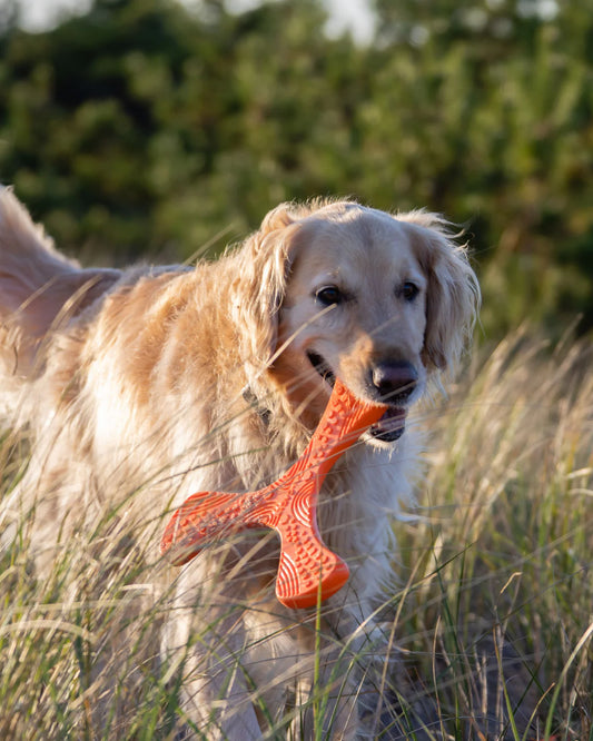 N-Gage Propeller Regular