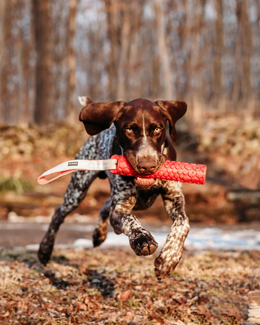 N-Gage Hydro Bumper Regular