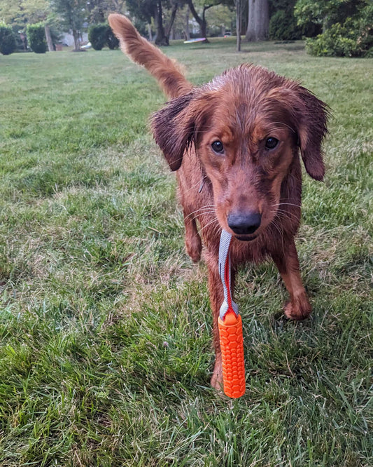 N-Gage Hydro Bumper Junior