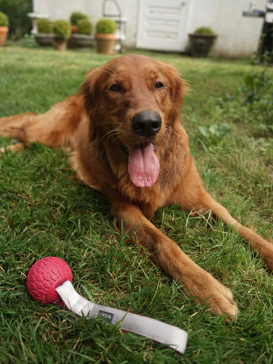 N-Gage Handler Junior