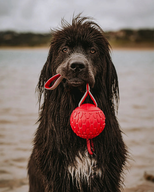 N-Gage Handler Jumbo