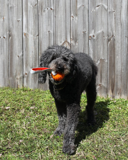 N-Gage Handler Regular