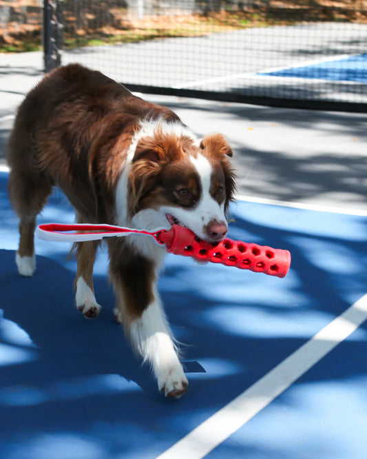 N-Gage Active Bumper