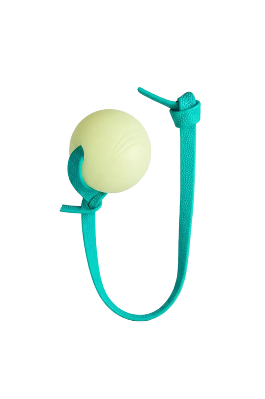 Pebble Handle Tug w/ Glow Chuck-It Ball