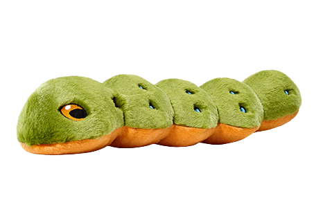 Fluff & Tuff Katie Catepillar - Performance Dog Supply