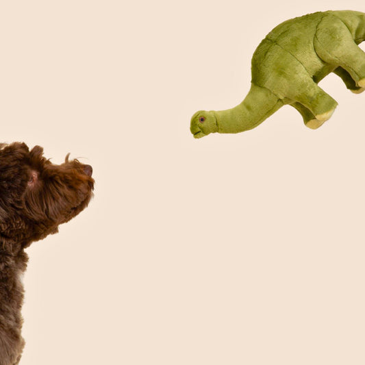 Fluff & Tuff - Emily Brontosaurus - Performance Dog Supply