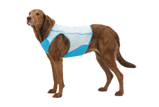Ruffwear Swamp Cooler Zip Vest