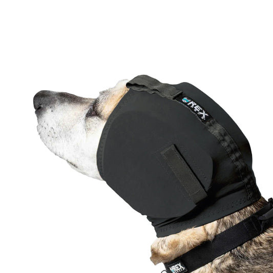 Ear Pro - Performance Dog Supply