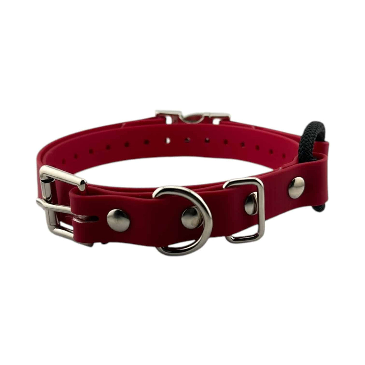 3/4” Ecollar Quick Buckle Bungee Strap
