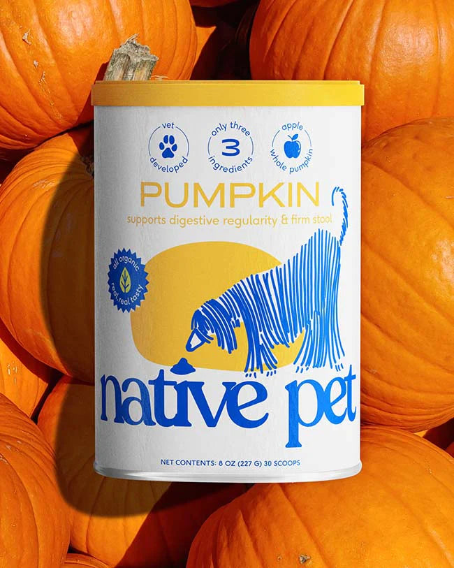 Native Pet - Pumpkin - Performance Dog Supply