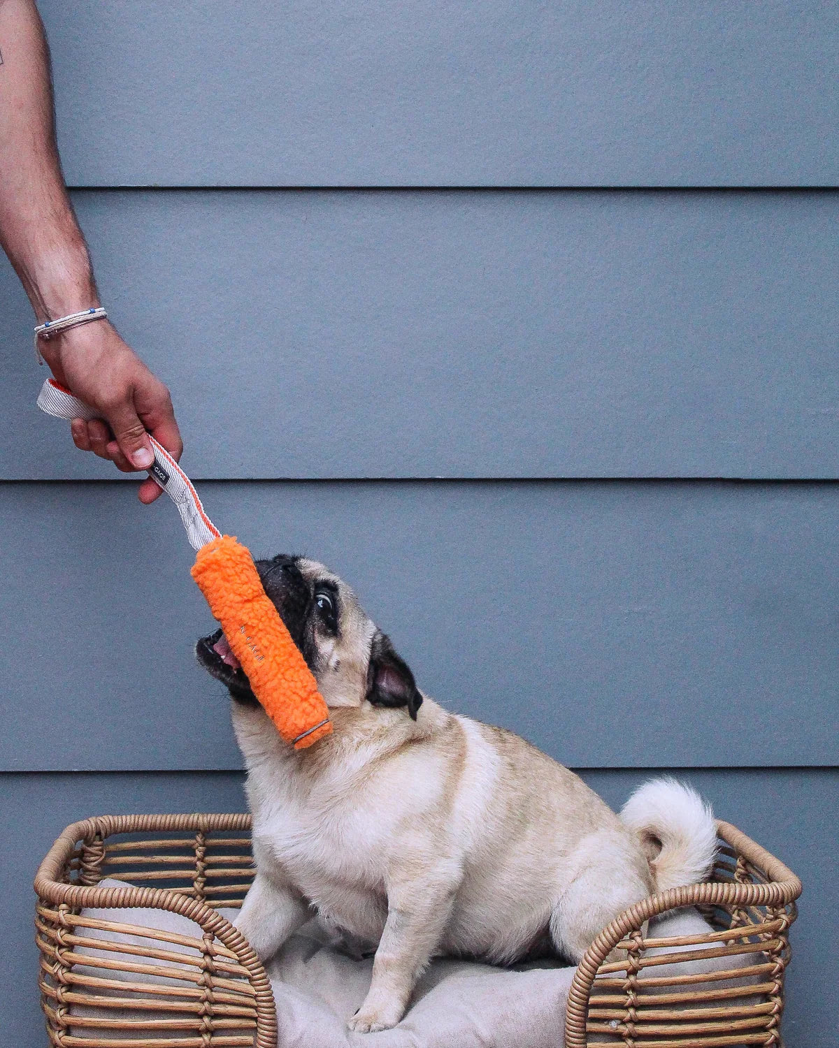 N-Gage Cozy Bumper Junior