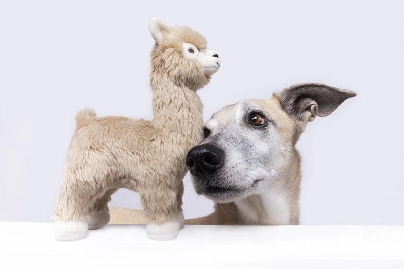 Fluff & Tuff - Inca Alpaca