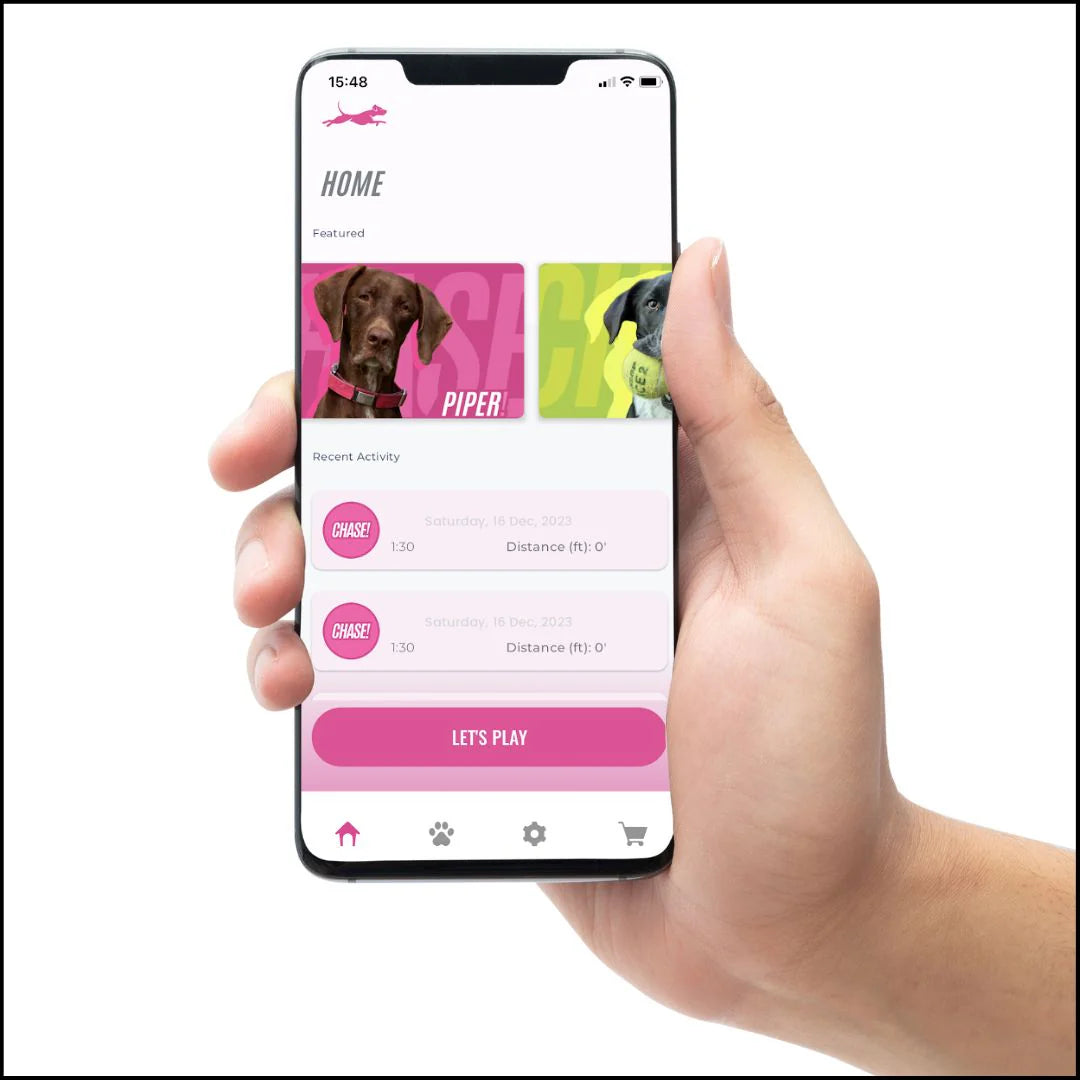 Chase Kit - Performance Dog Supply