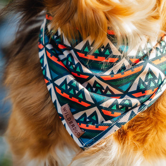 Camp Bandana - Performance Dog Supply