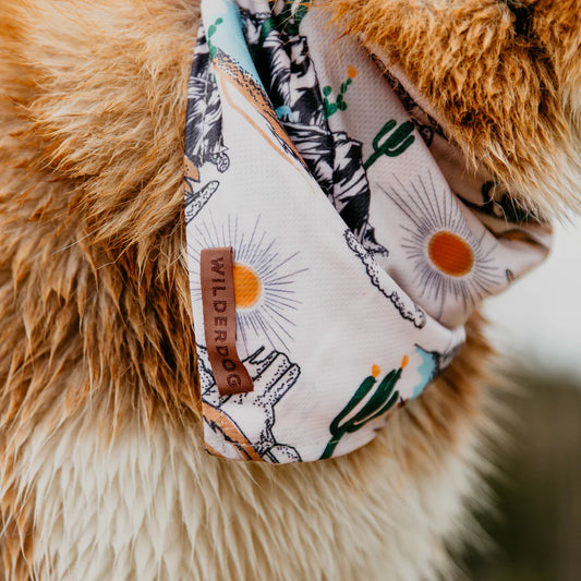 Laredo Bandana - Performance Dog Supply