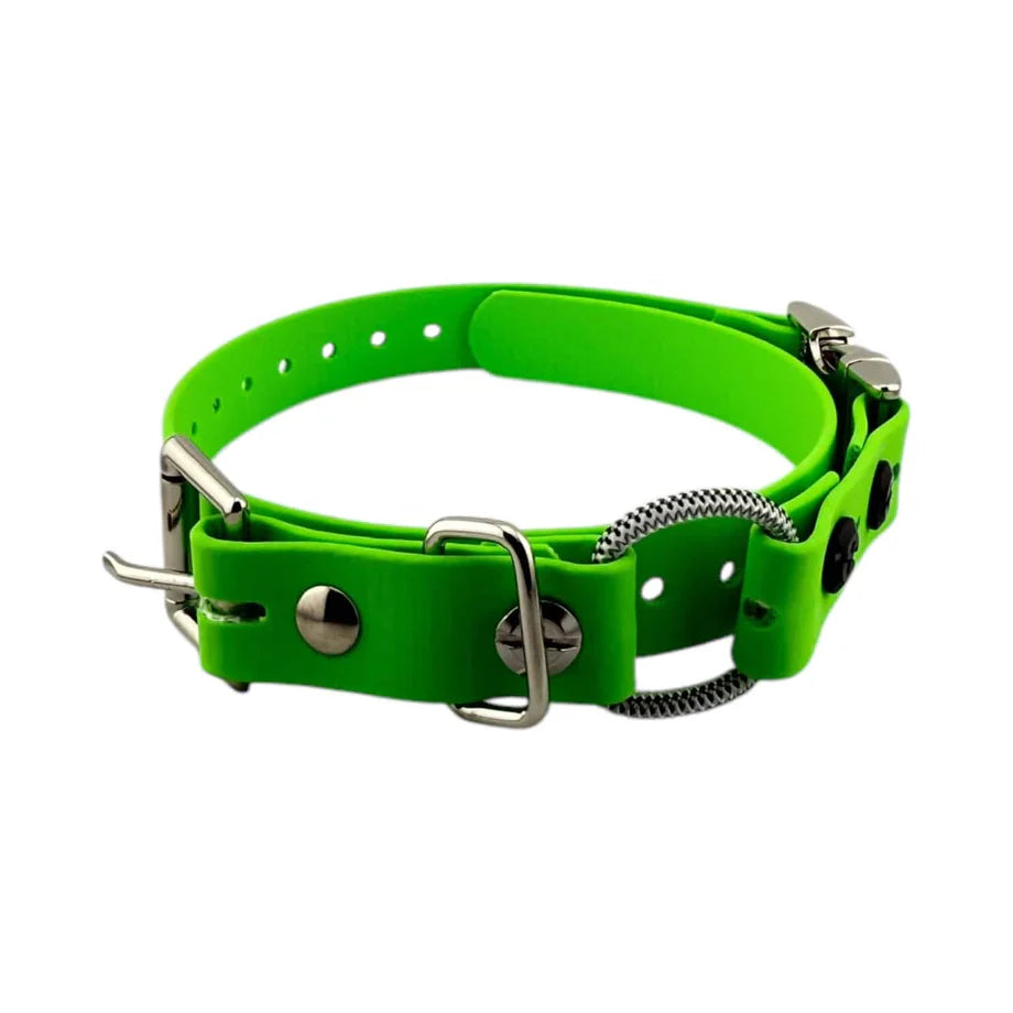 3/4” Ecollar Quick Buckle Bungee Strap