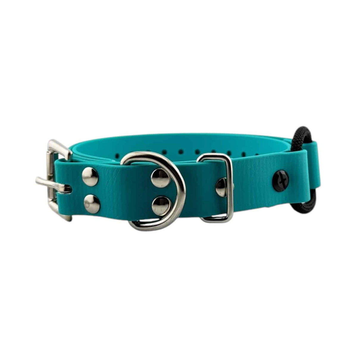 3/4” Ecollar Quick Buckle Bungee Strap