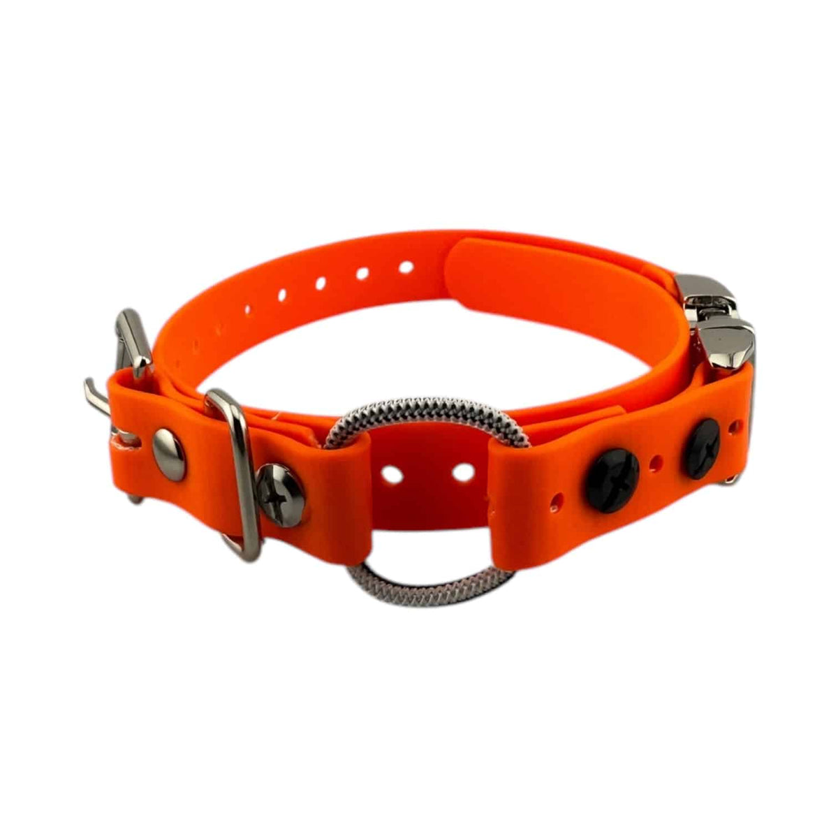 3/4” Ecollar Quick Buckle Bungee Strap