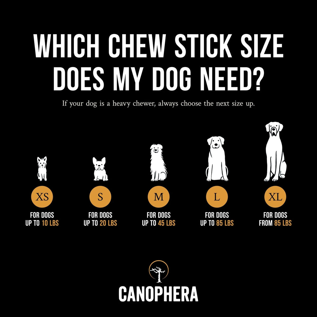Canophera Coffee Wood Chew