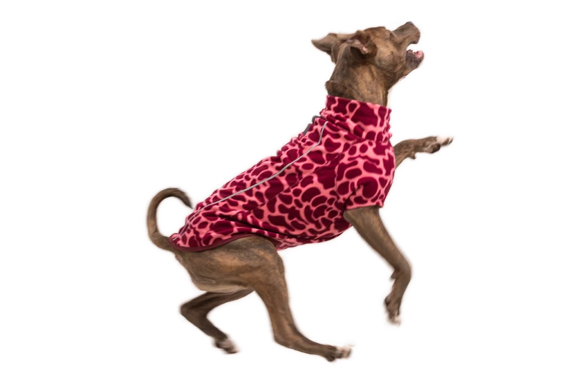 Ruffwear Climate Changer™ Fleece Vest