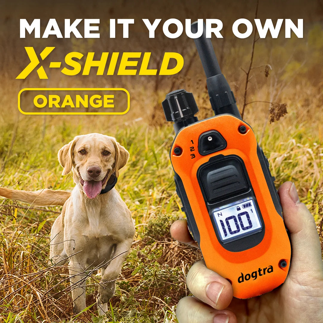 Dogtra X-SHIELD