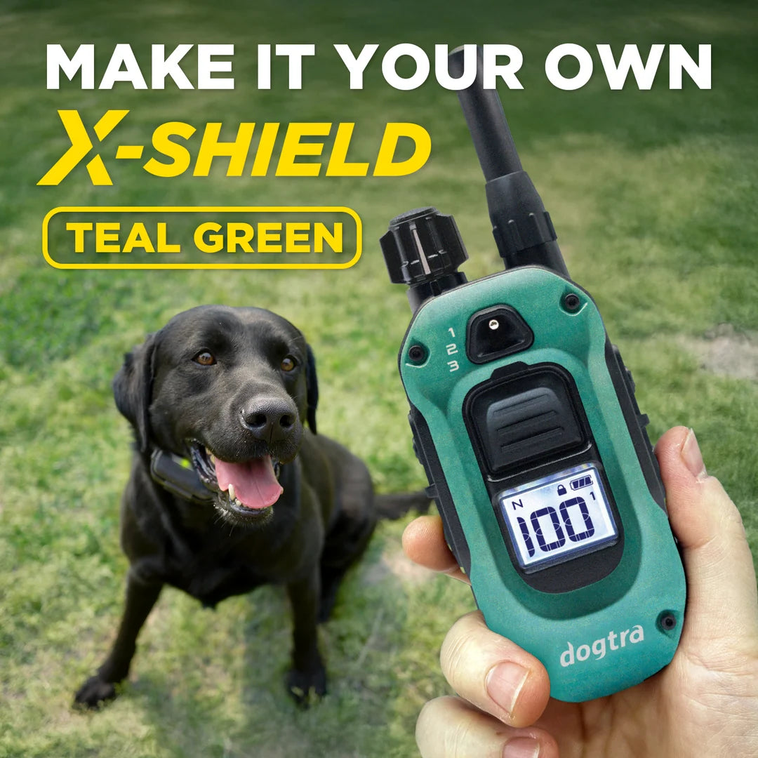 Dogtra X-SHIELD