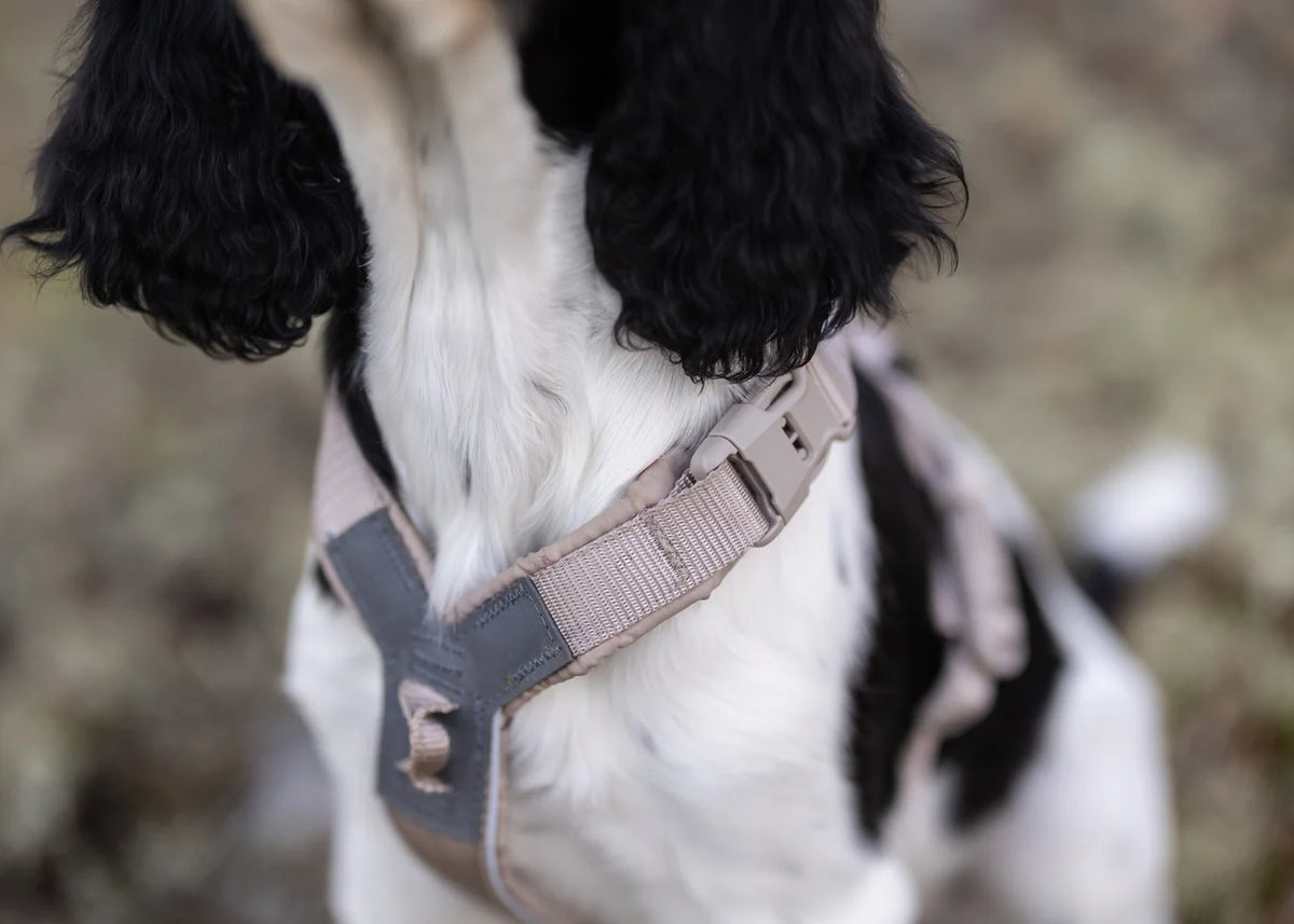 NSD Trekking line harness CLIP'N™