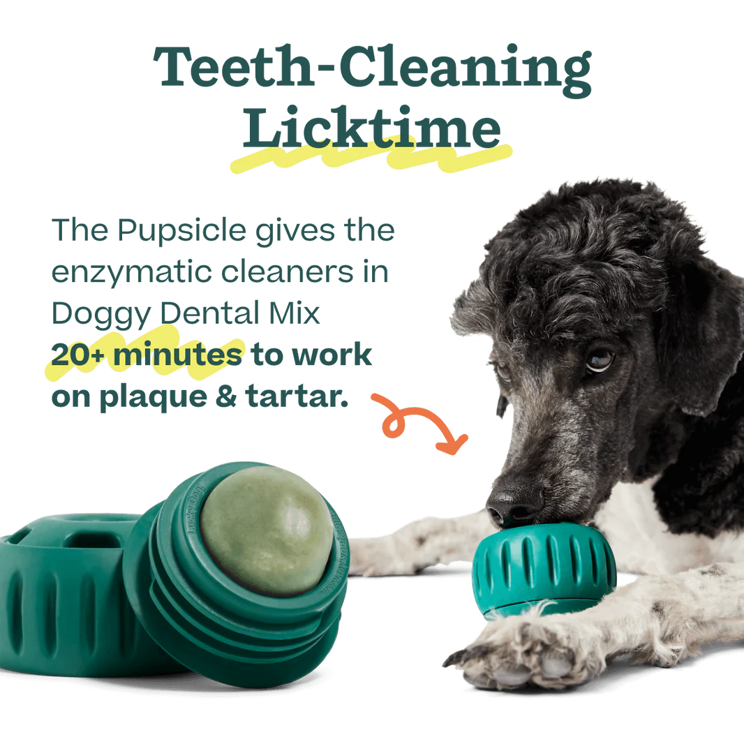 Doggy Dental Mix