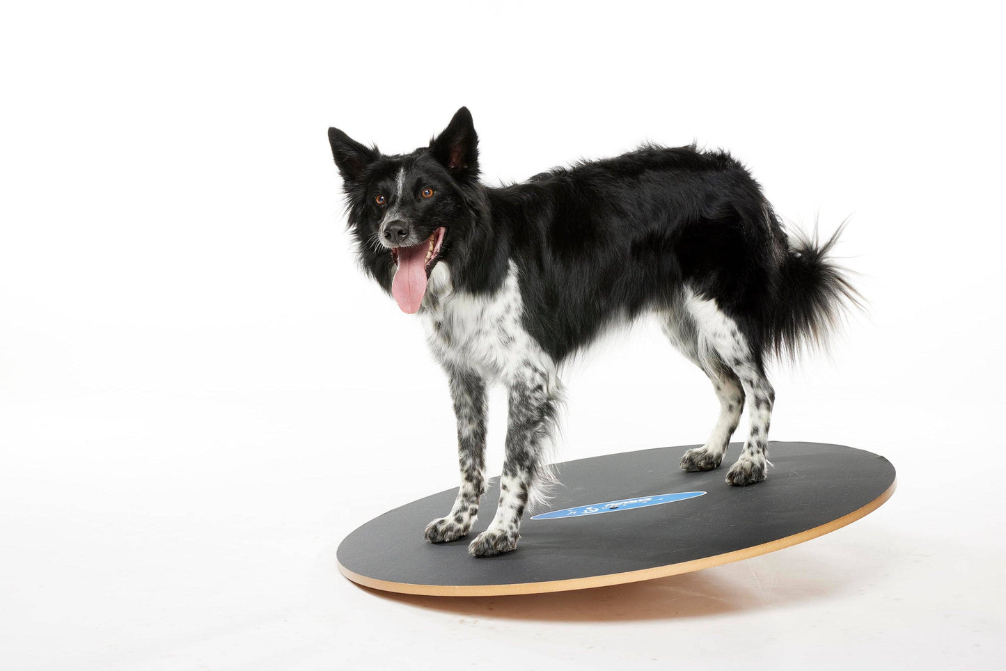FitPAWS - FitPaws Wobble Board, Dog Balance Training Platform