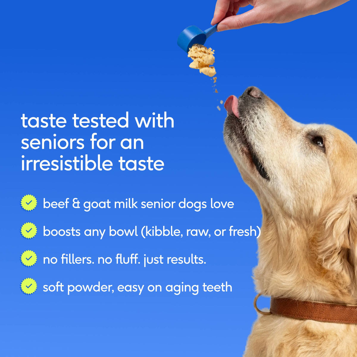 Native Pet - Senior Daily 12-in-1 Multivitamin Powder Supplement for Dogs