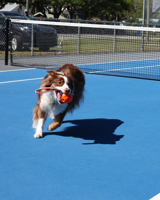 N-Gage Active Handler Regular