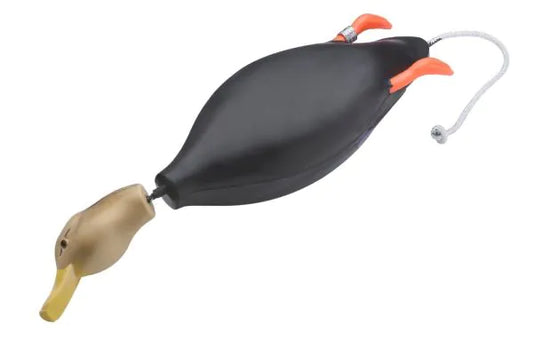 Dokken Dead Fowl Blackduck