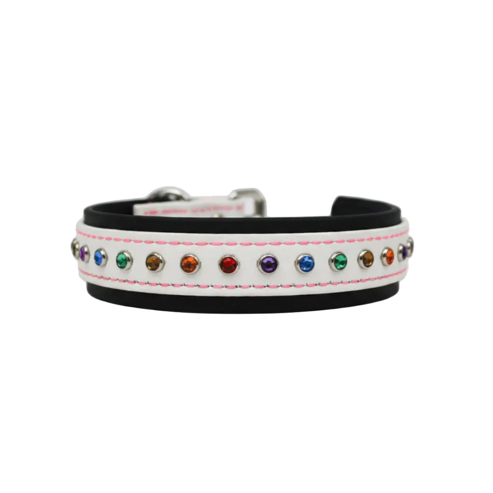 1.5" Biothane Bling Collar - Rainbow