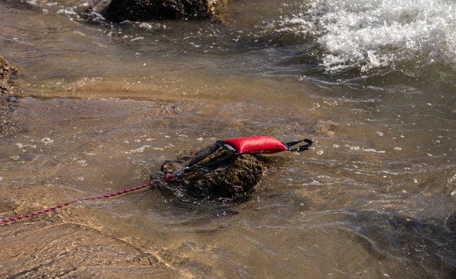 Best Fetch KB Clip n' Toss Rope