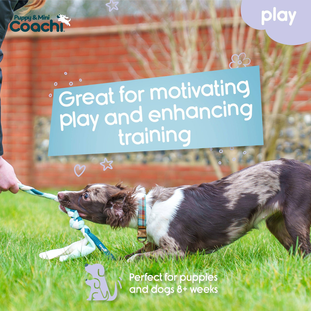 Coachi Puppy & Mini Tuggi Tug Teal & Mint