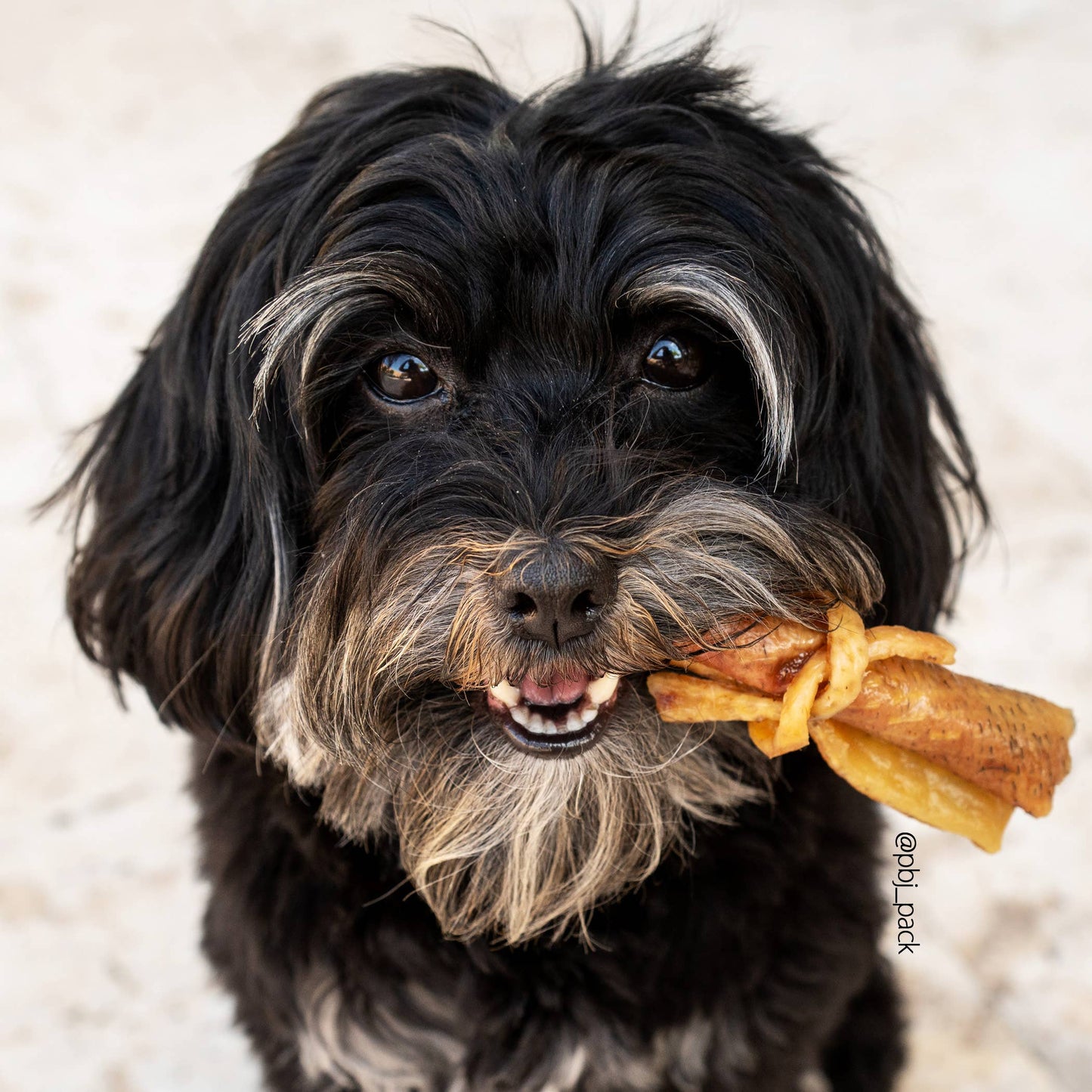 TREAT BAR - Hog Hide Roll - 1 PIECE