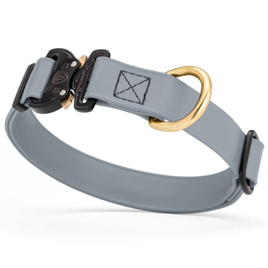 BioThane Dog Collar/Cobra Buckle