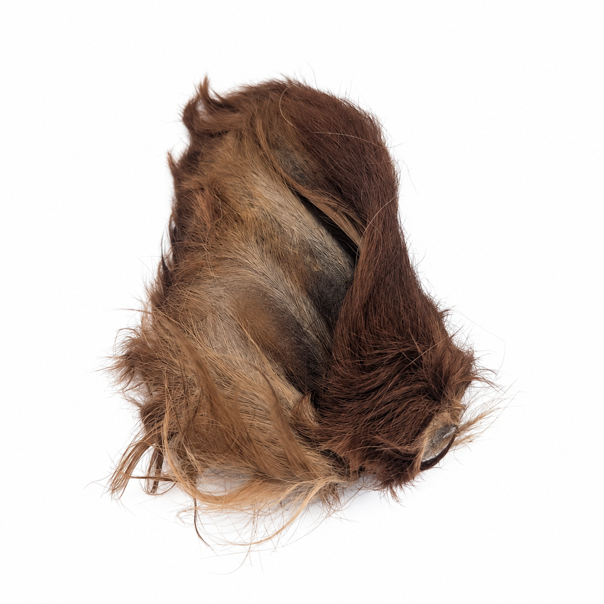 Bulk - Beef Ears with Hair – 10 Pack
