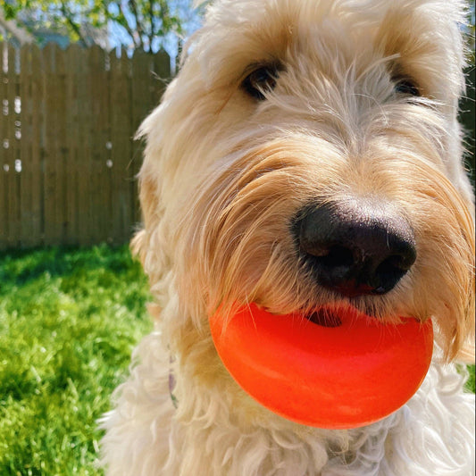 DAWG NUT Lifetime Guaranteed