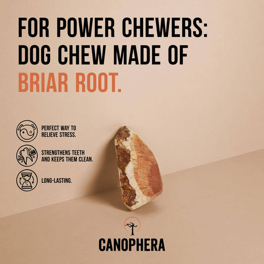 Briar Root Dog Chew