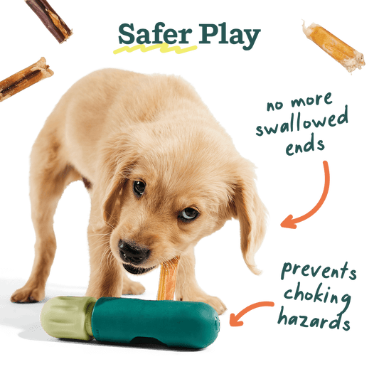 The BullySafe - Performance Dog Supply