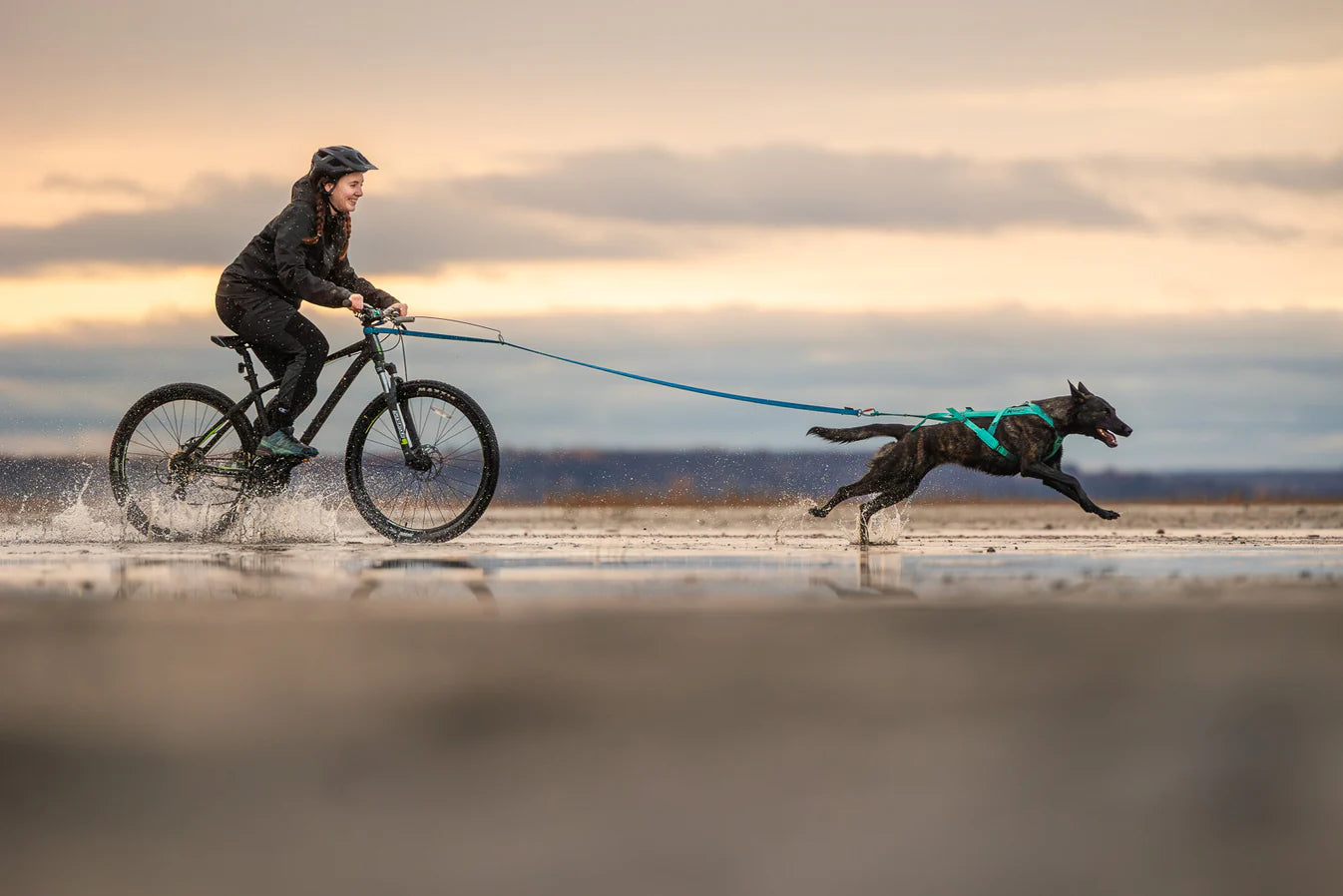 NSD Freemotion Harness 5.0