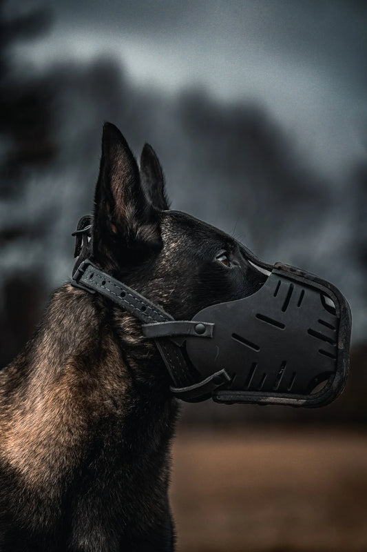 TGR Custom Leather Muzzle