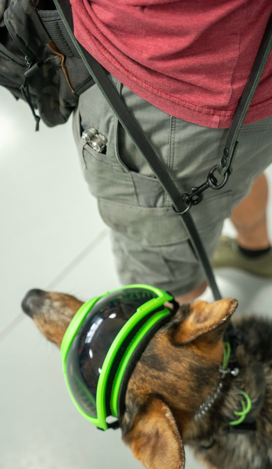 Leather Crossbody Leash - Performance Dog Supply