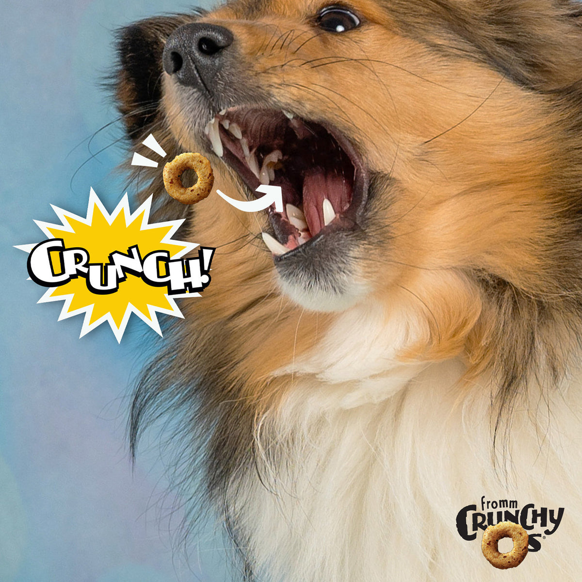 Fromm Crunchy Os Blueberry Blasts Treats