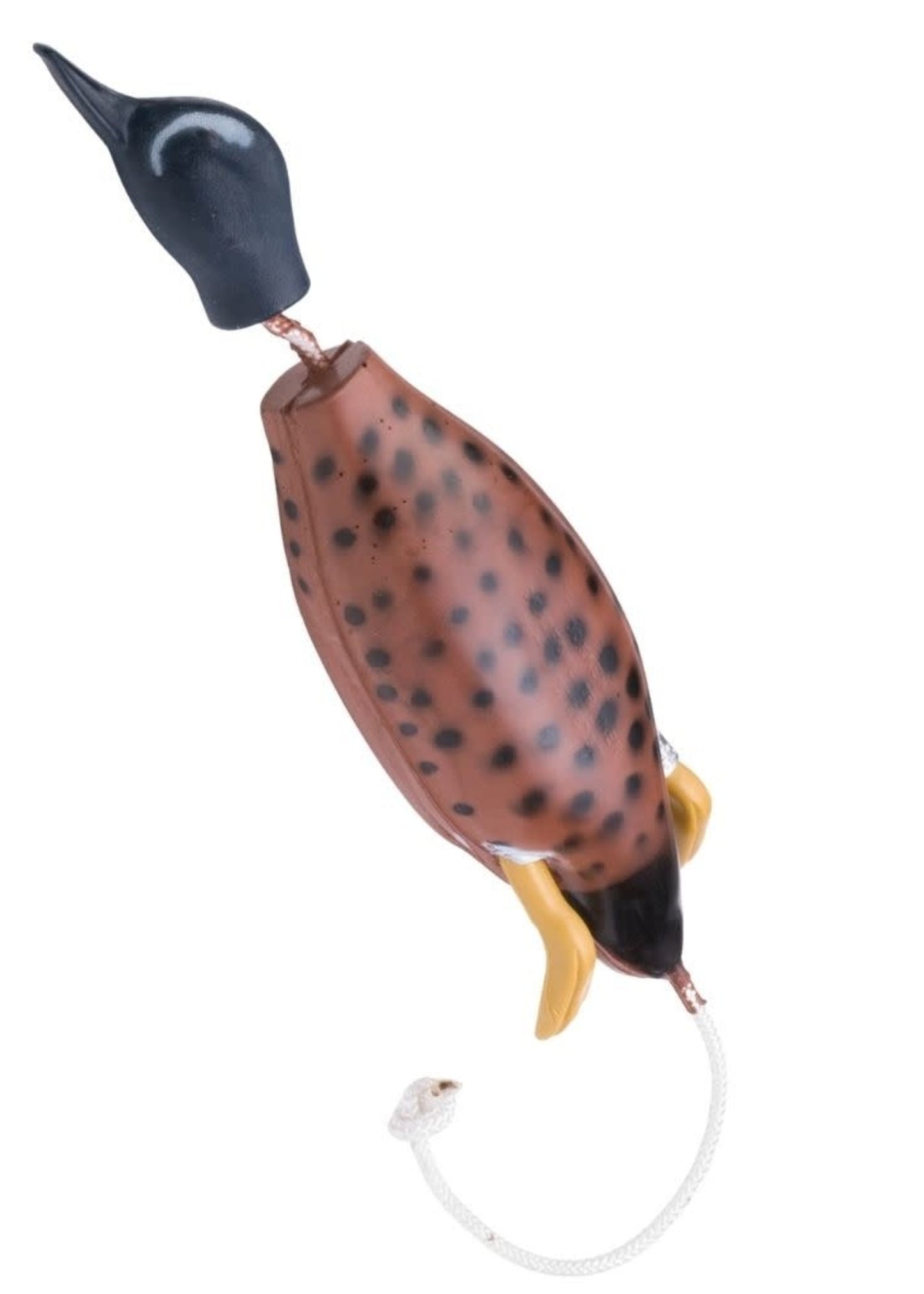 Dokken's Bluewing Teal - Performance Dog Supply