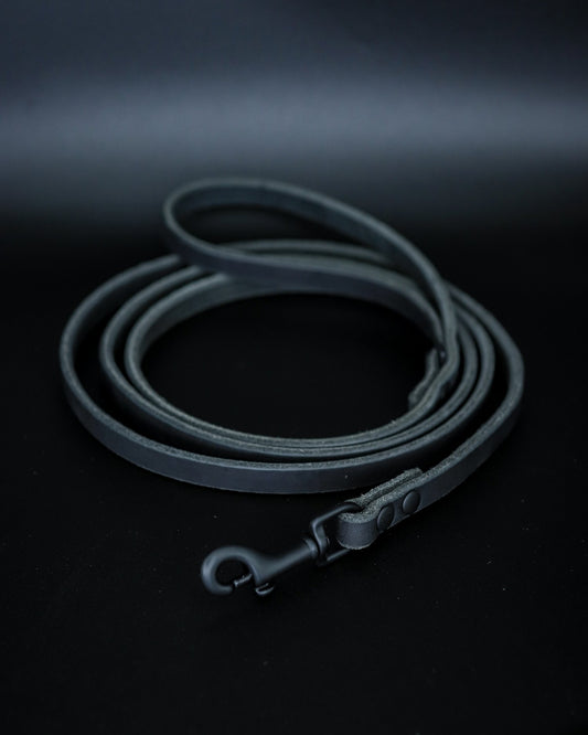 The Everyday Leather Leash - Performance Dog Supply