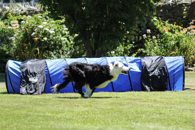 Agility