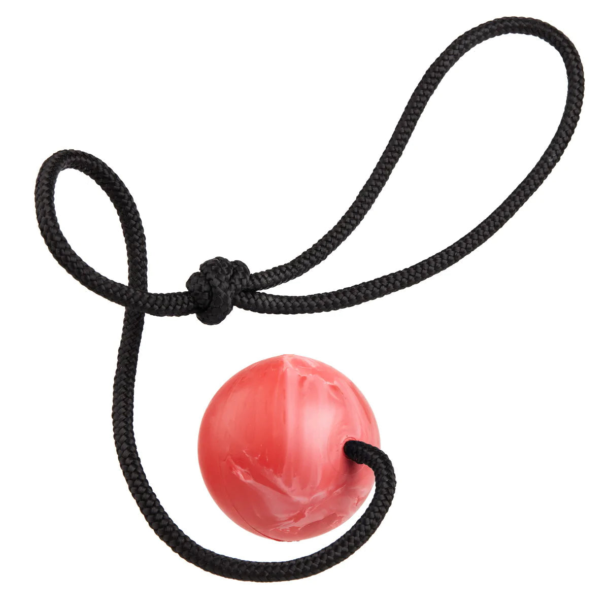 Sport Dog Gear (IGP/IPO/PSA/ScentWork) - Performance Dog Supply